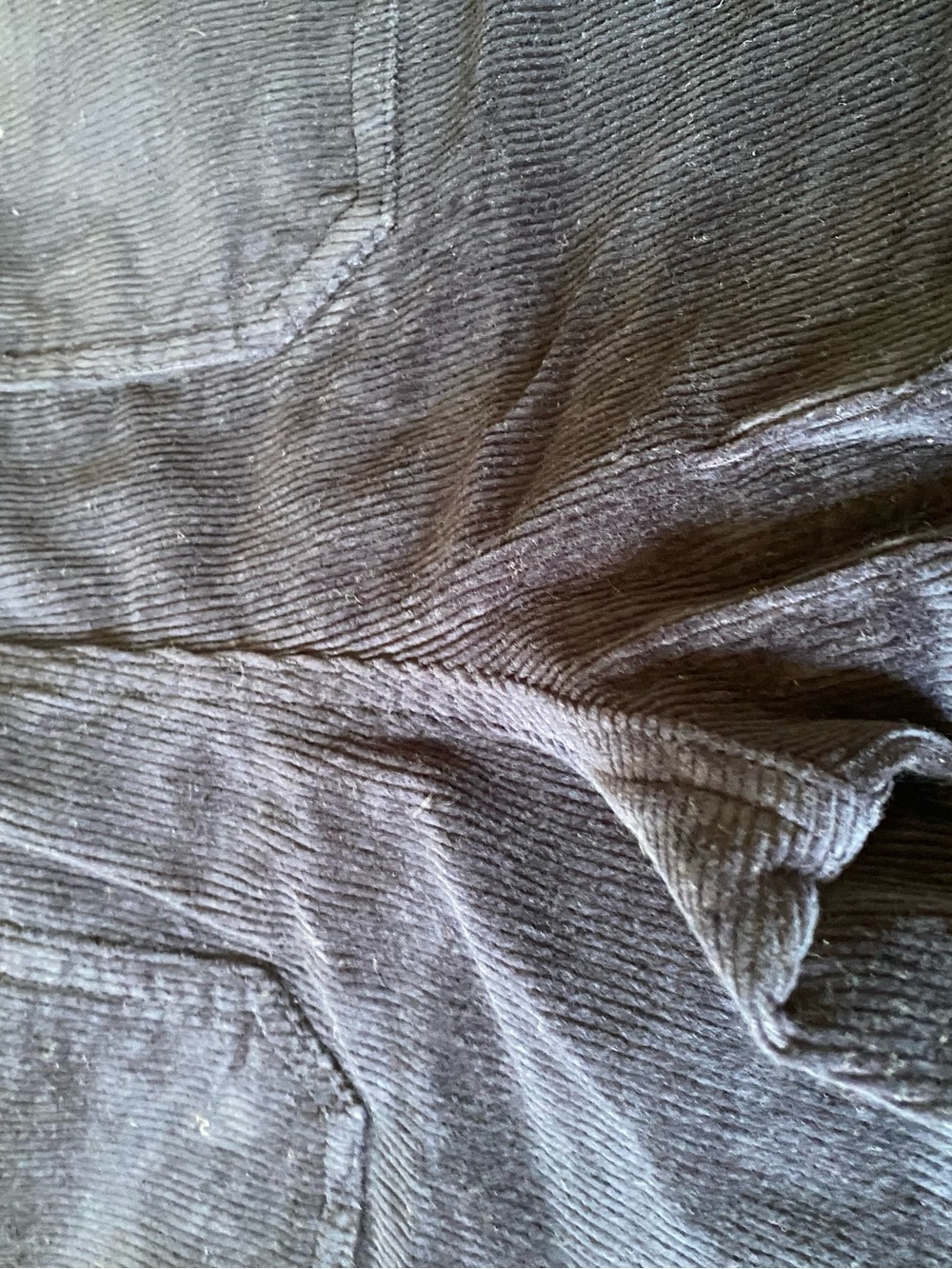 QUINCE Navy Corduroy Pant 14 - Picture 9 of 9
